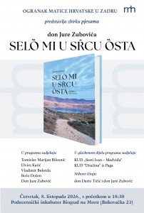 Zubovic plakat